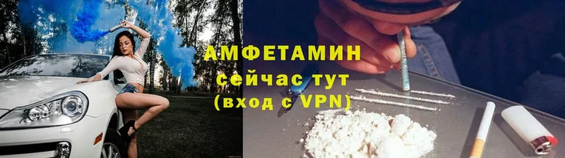 Amphetamine Premium Зима